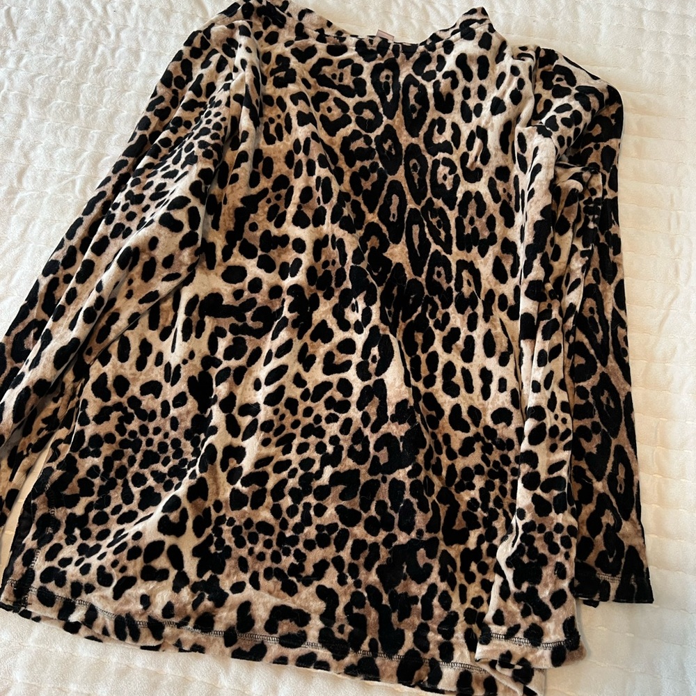 Leopard 🐆 - Picture 3 of 5